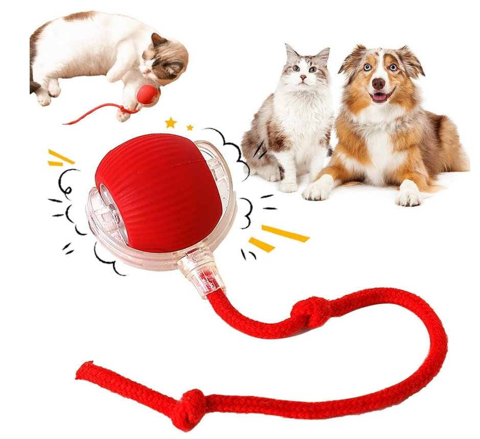Viral Rolling Ball,Interactive Cat Ball Toy