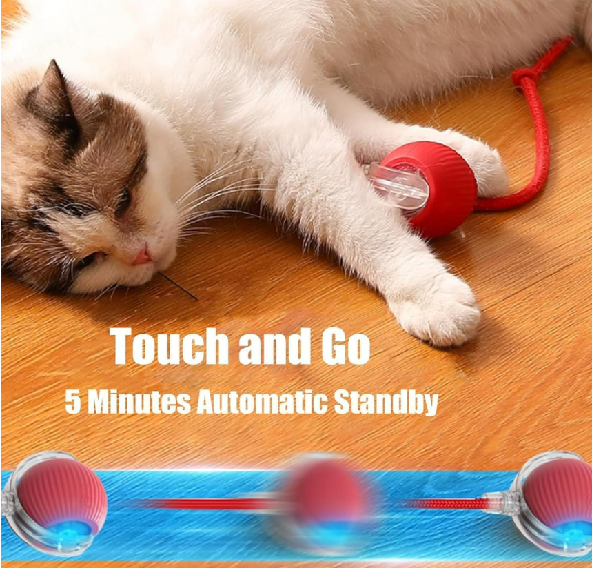 Viral Rolling Ball,Interactive Cat Ball Toy