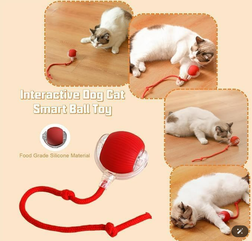 Viral Rolling Ball,Interactive Cat Ball Toy